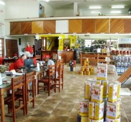Galeria
